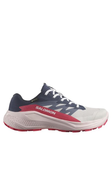 Salomon Alphaglide Gtx Γυναικεία Παπούτσια Ορεινού Τρεξίματος 478023-22 Μπλε/Ροζ