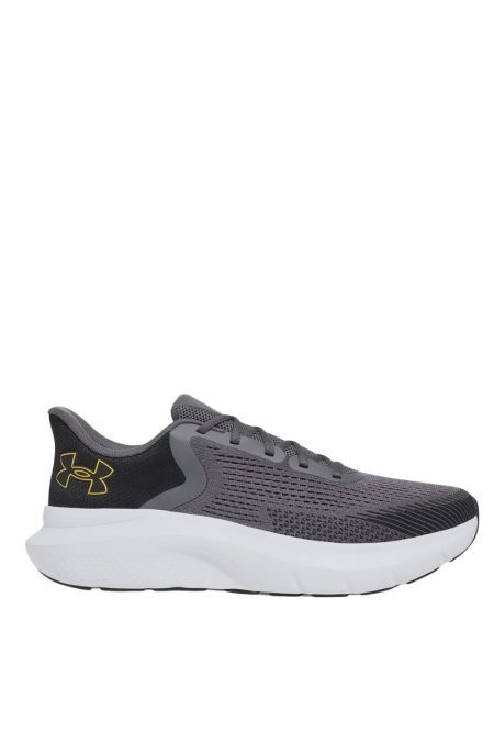 Under Armour Charged Rogue 5 Ανδρικά Παπούτσια 3028256-025 Γκρι